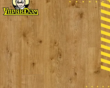 фото Ламинат Clix Clix Floor Basis CXB 600 Дуб Грас