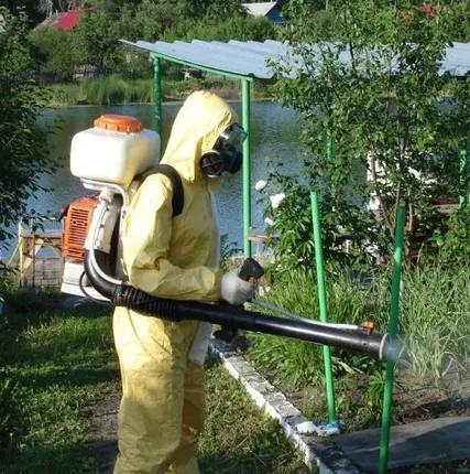 Фото №0 Уничтожение сорняков на участках