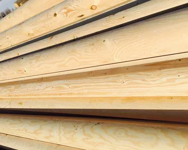 фото Оцилиндрованное бревно сосна