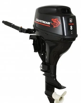 Фото №0 Лодочный мотор F8 BMS 4х тактный