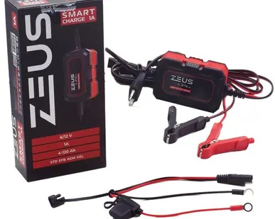 фото Зарядное устройство ZEUS SMART CHARGE 1А