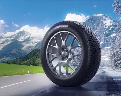 фото Шины в наличии