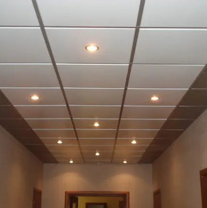 Фото №0 Кассетный потолок CESAL