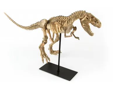 фото Фигура динозавра Shishi CF1130031-F38