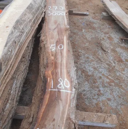 Фото №0 Слэб карагач сухой 50 мм № 3186 50х210х3000