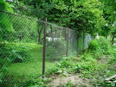 Фото №0 Заборы из рабицы