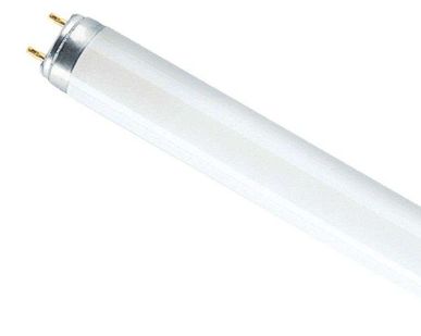 фото Лампа люминесцентная L 18W/765 18Вт T8 6500К G13 смол. OSRAM 4052899209084