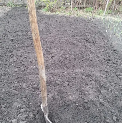 Фото №0 Копка садовых участков