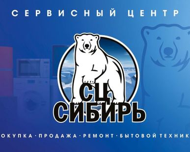 фото Ремонт ноутбуков Sony