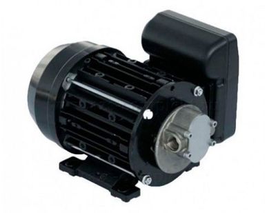 фото Насос Piusi Garda 5 220V PIUSI (Италия)