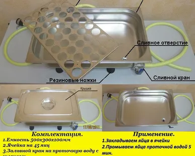 фото Ванна для санитарной обработки яиц на 20 штук