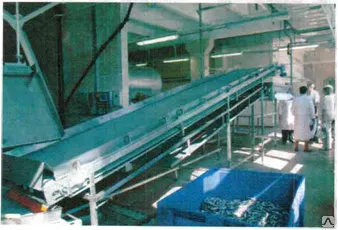 Фото №0 ЛИНИЯ КОПЧЕНИЯ РЫБЫ