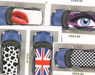 фото Плёнка ФОТОПЕЧАТЬ на крышу авт ( 2.2*1,2) ДОЛМАТИН