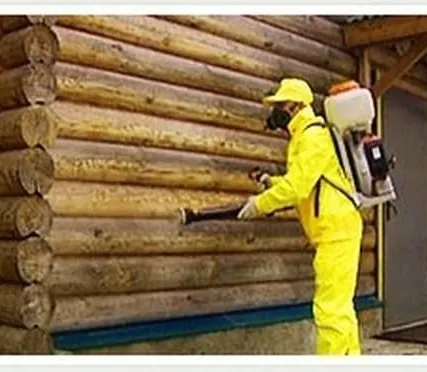 Фото №0 Обработка деревянных конструкций огнебиозащитным составом