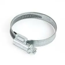 Фото №0 Хомут червячный Norma 25-40/9 (100)