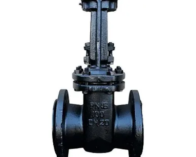 фото Задвижка (Китай) с обрезиненным клином Ру-16 Т-75 вода 30ч39р (по типу МЗВ) Ду - 65 мм