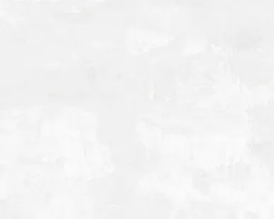 фото Керамогранит Emigres Duna-Pul Blanco RP 59x119