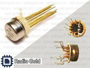 фото 140 и подобные 12 ног