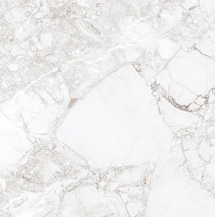 Фото №0 Rossalia Natural керамогранит 60х60см AB 1208G
