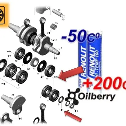 Фото №0 Смазка подшипника коленвала Rotax HI-TEMP 100 (ISOFLEX NB 52)