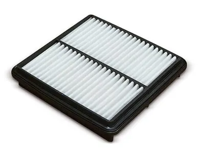 фото Панельный фильтр MANNFILTER C2229