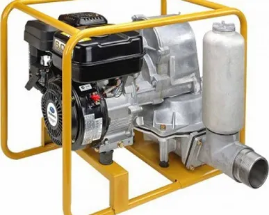 фото Бензиновая диафрагменная мотопомпа Robin PTX 301 D