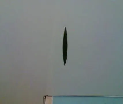 Фото №0 Монтаж потолков