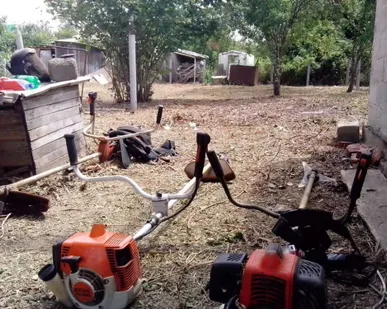 фото Расчистка земельных участков