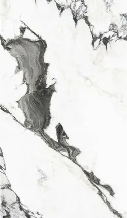 Фото №0 60X120 PANDA MARBLE WHITE POL REC GL POR TL (P19707.6) 60х120