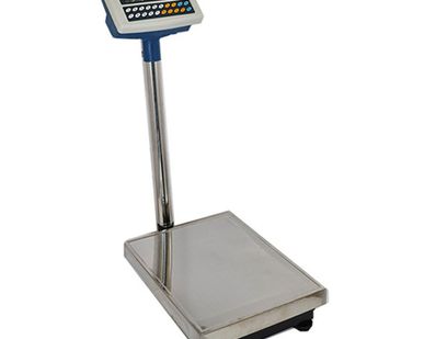 фото Весы платформенные Romitech