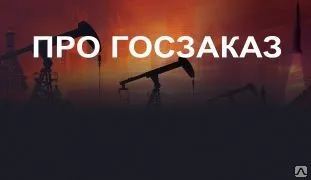 фото Курс об участии в госзаказе