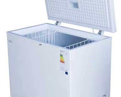 фото Морозильный ларь Renova FC-200