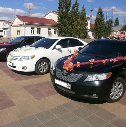 Фото №0 Прокат и аренда автомобилей на свадьбу