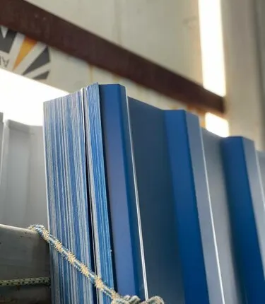 Фото №0 Профнастил С-8 Цветной