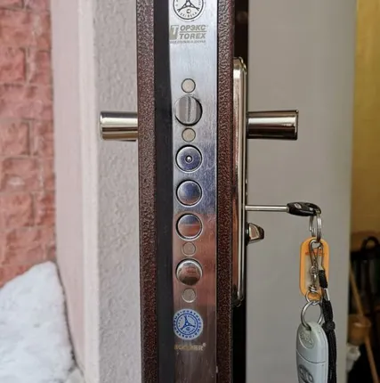 Фото №0 Ремонт, замена, обслуживание дверных замков "BLOCKIDO" в дверях Торекс ( TOREX)