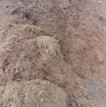 Фото №0 Конский навоз