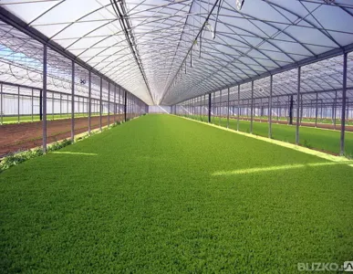 фото Стекленные козырьки