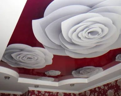 фото Французские натяжные потолки
