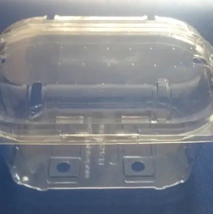 Фото №0 Контейнер-ракушка для черри