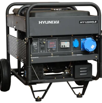 Фото №0 Бензиновый генератор Hyundai HY 12000LE с АВР