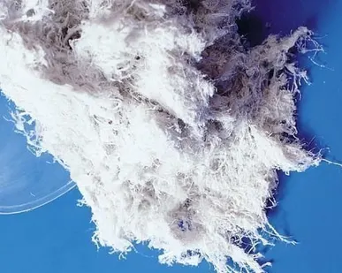 фото Асбест хризотиловый 6-40