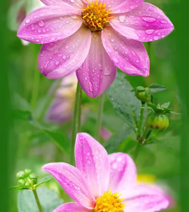 Фото №0 Панели ПВХ