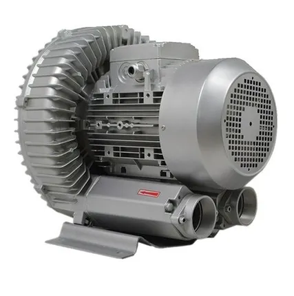 Фото №0 Вихревой вакуумный насос DELTAMACHINERY DM-VP-5500