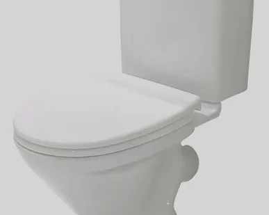 фото Унитаз Лига SANTEK