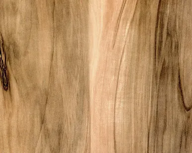 фото HPL (Декоративный пластик)1570×3050 х 0,6-25 мм. цвет  Индийское дерево 690