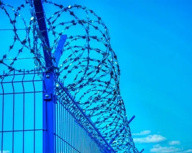 фото СББ d=900 мм (бухта 20 пог/м)