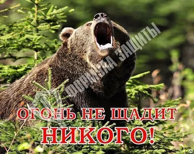 фото Аншлаг противопожарный «Огонь не щадит НИКОГО!» 1000х800 мм