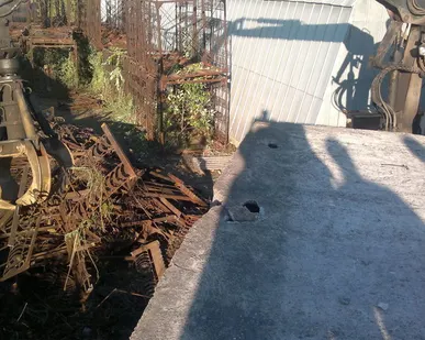 фото Вывоз &quot;Пухто&quot;