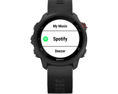 фото Часы Garmin Forerunner 245 Music черные с черным ремешком