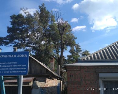 фото СПИЛ ДЕРЕВЬЕВ В ТАГАНРОГЕ ЛЮБОЙ СЛОЖНОСТИ